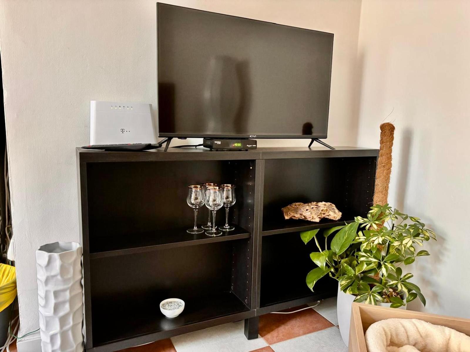 Appartement Olivova *