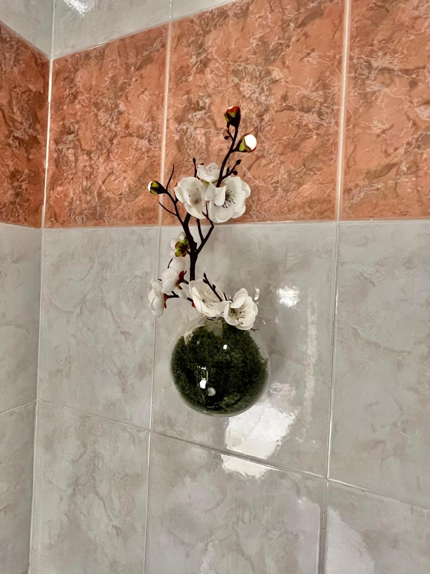 Appartement Olivova