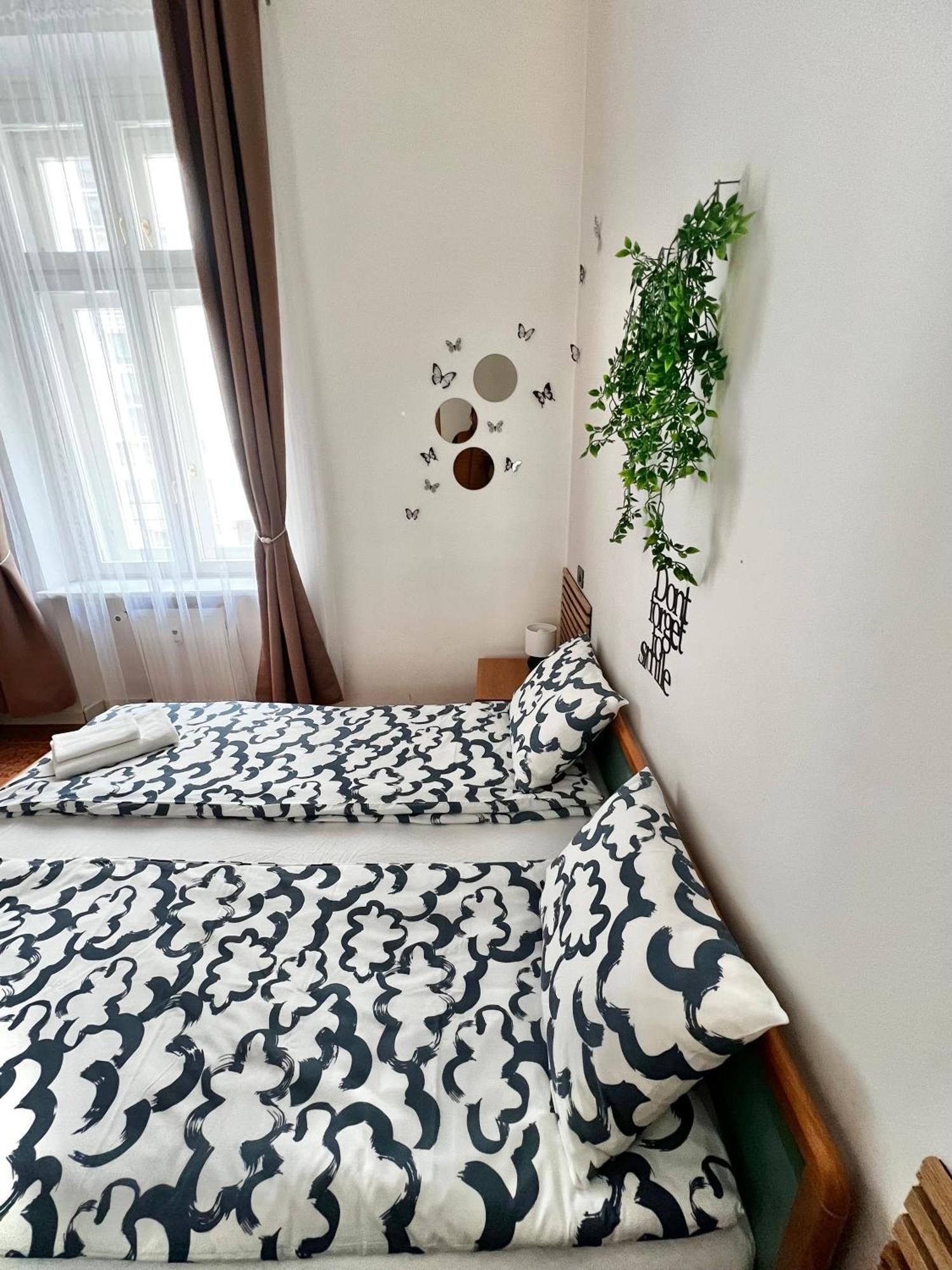 Appartement Olivova *