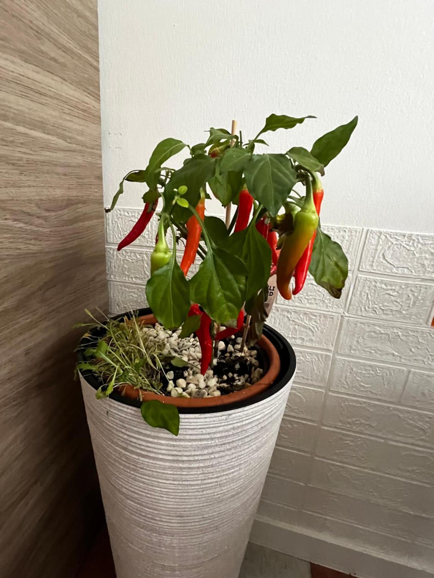 Appartement Olivova Prague